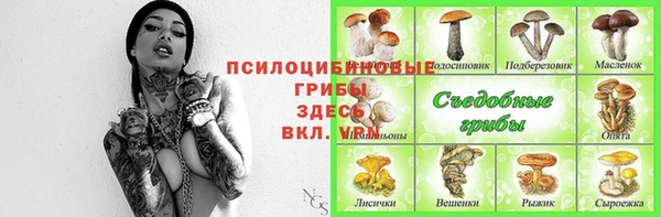 гидра Армянск