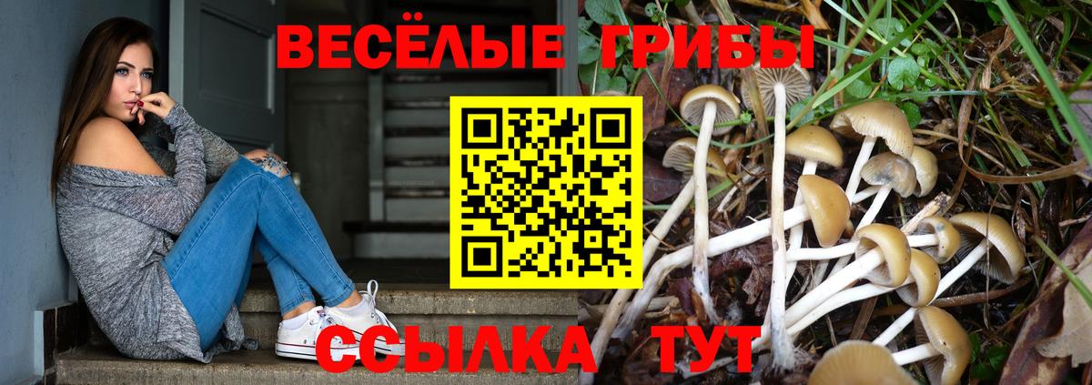 Галлюциногенные грибы Psilocybe  Вход с VPN  Одинцово 