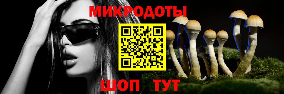 Галлюциногенные грибы Psilocybine cubensis Одинцово
